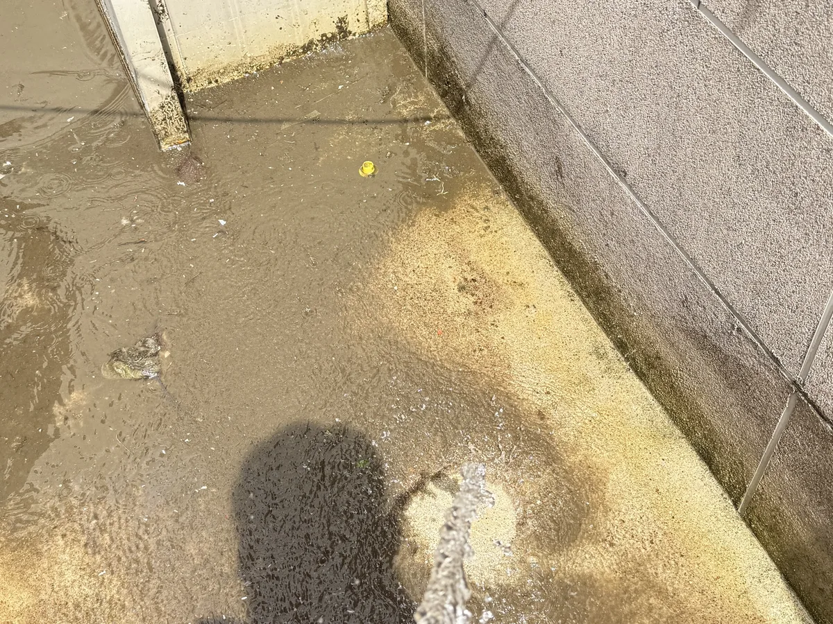 남구 고사동 침수 현장 복도·대기 동선 야간 위생청소 사례 - 행진크린